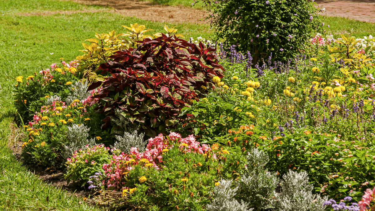 Maintenance-Free Flowerbed