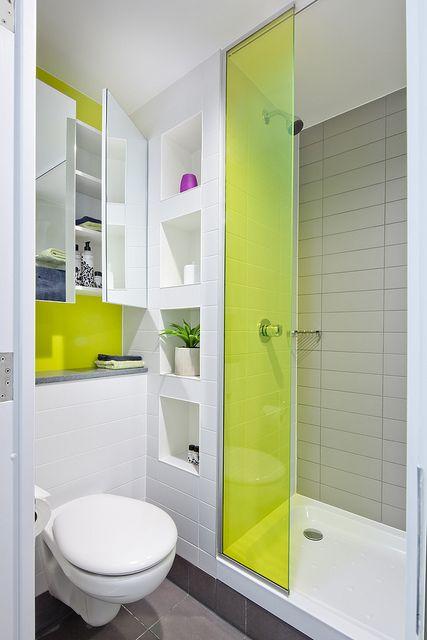 Tinted shower door_RenoQuotes.com