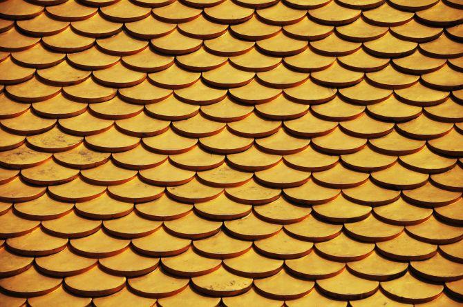 shingles close-up_renoquotes.com