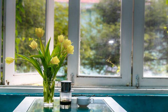 flowers in front of a window_how to install a new window