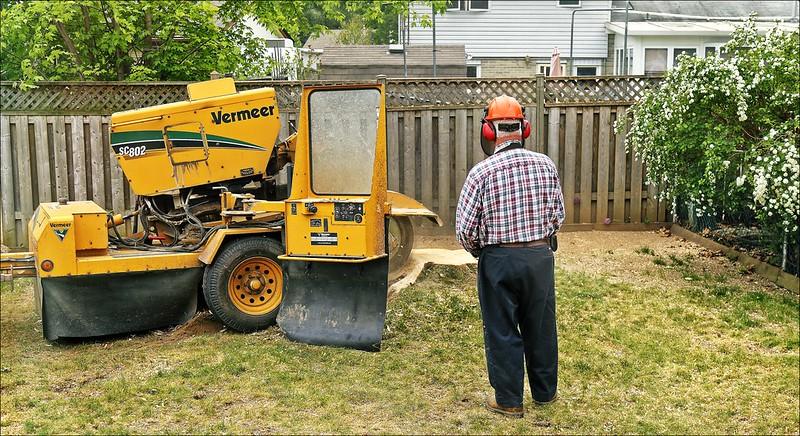 grinding stump