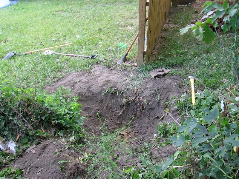 removing tree stump