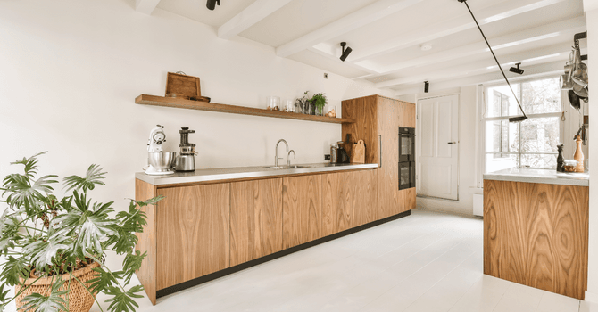 Organic and biophilic trendy kitchen