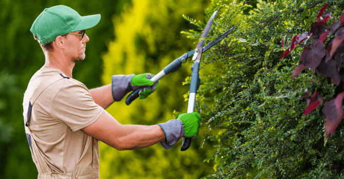 Preparing your ground for spring