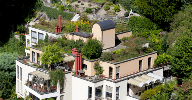 Green roof