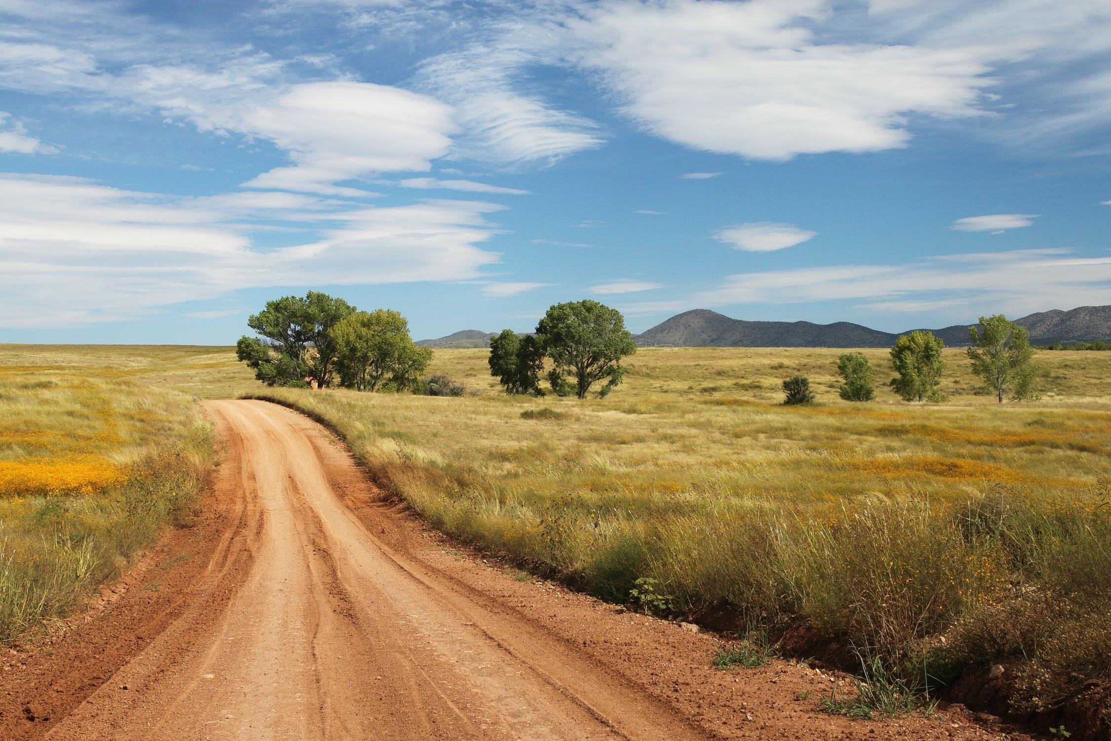 rural path nature