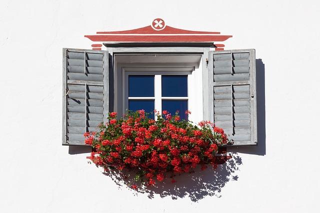 window shutters_How to maintain window shutters_Reno Quotes