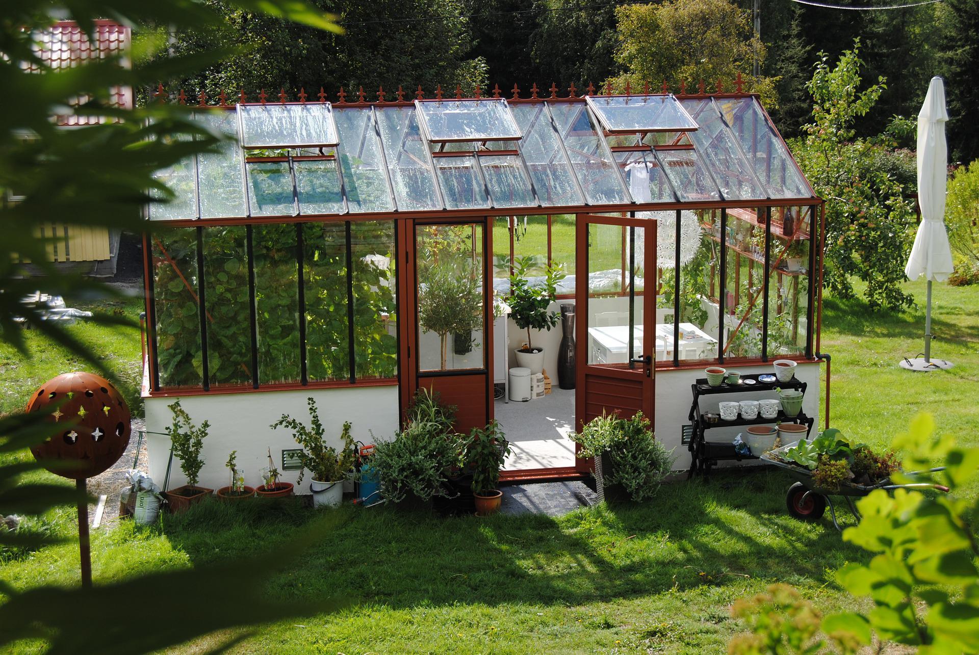 greenhouse_how to maintain a greenhouse