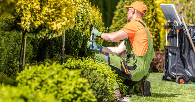 landscaping checklist