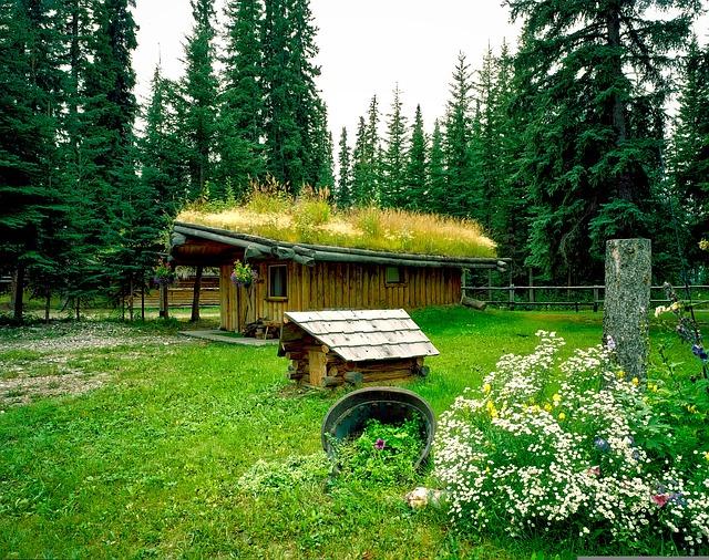 green roof