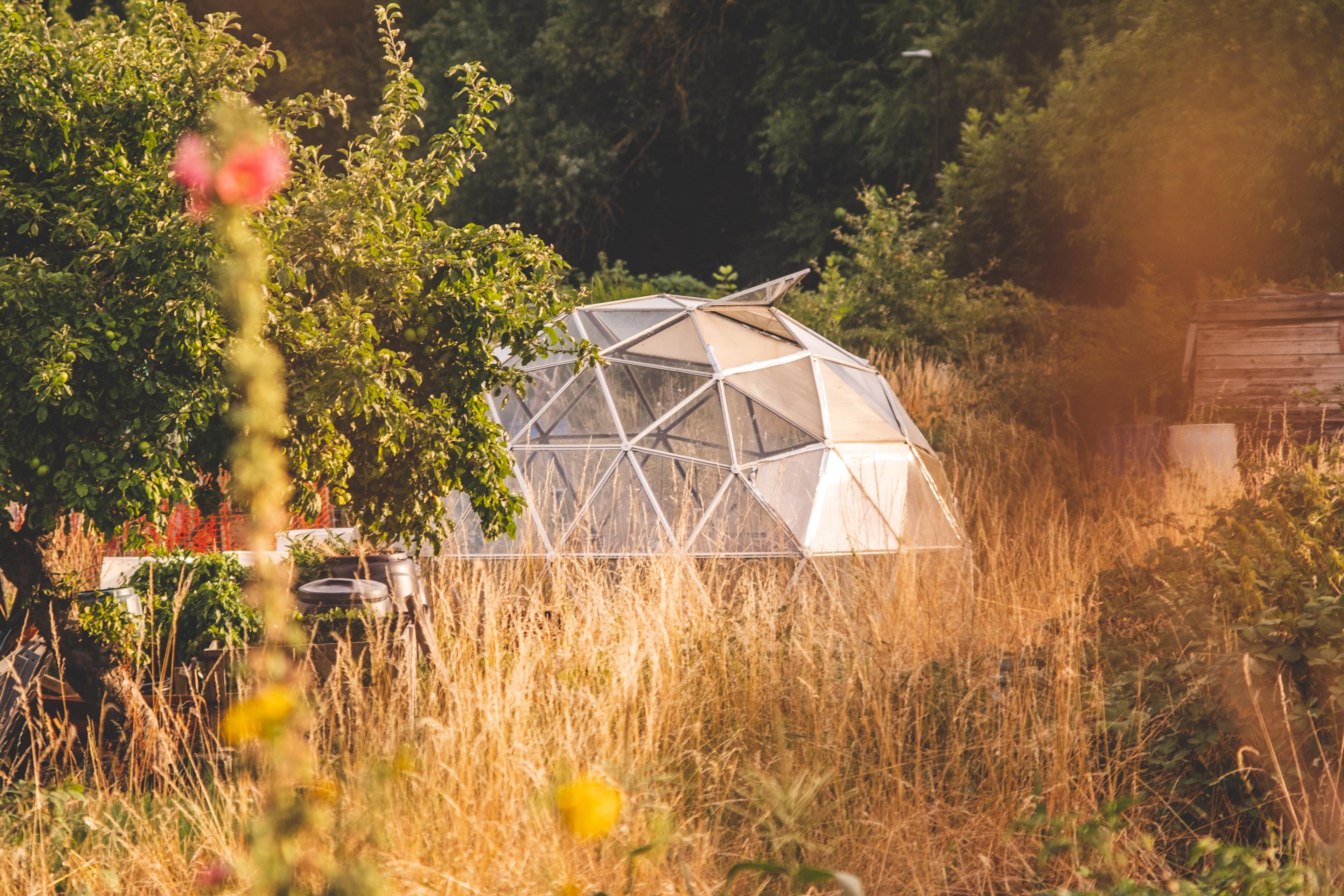 dome greenhouse_how to maintain a greenhouse