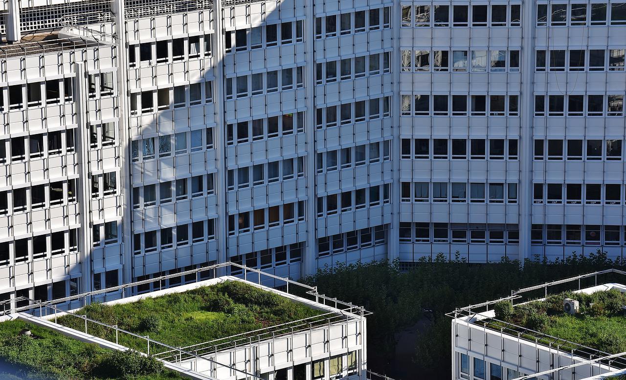 green roof skyscrapers_the blue roof: a new, eco-friendly concept